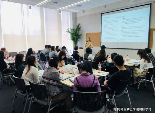 對標(biāo)阿里巴巴 打造銷售鐵軍的企業(yè)管理咨詢策略