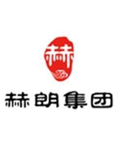 河南赫朗企業(yè)管理咨詢集團(tuán) 專業(yè)護(hù)航企業(yè)發(fā)展的智慧伙伴