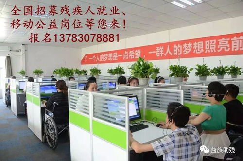 數(shù)字賦能，共創(chuàng)未來(lái) 電子商務(wù)為殘疾人群體帶來(lái)的新機(jī)遇與信息咨詢服務(wù)支持